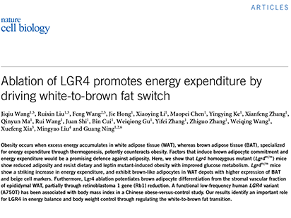 Wang J, et al. Ablation of LGR4 promotes energy expenditure by driving white-to-brown fat switch. Nat Cell Biol. 2013 Dec;15(12):1455-63. (IF=20.761)