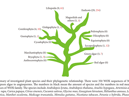 Lian G, et,al. Origins and Evolution of WUSCHEL-Related Homeobox Protein Family in Plant Kingdom. ScientificWorldJournal. 2014 Jan 6;2014:534140.(IF=1.730)