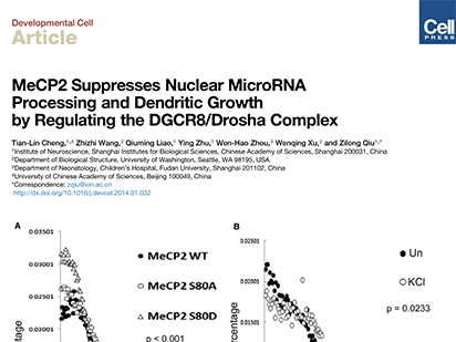 Cheng T, et al. MeCP2 Suppresses Nuclear MicroRNA Processing and Dendritic Growth by Regulating the DGCR8/Drosha Complex. Dev Cell. 2014 Mar 10;28(5):547-60. (IF=14.08)