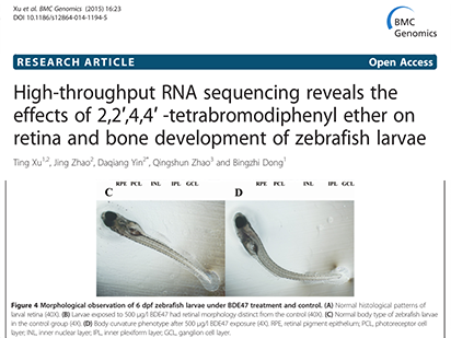 Xu, T.,et al. High-throughput RNA sequencing reveals the effects of 2,2′,4,4′ -tetrabromodiphenyl ether on retina and bone development of zebrafish larvae. BMC Genomics.2015 Jan;16(1):23.(IF=3.729)