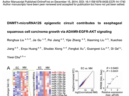 Liu R, et al. DNMT1-microRNA126 epigenetic circuit contributes to esophageal squamous cell carcinoma growth via ADAM9-EGFR-AKT signaling. Clin Cancer Res. 2015 Feb 15;21(4):854-63. (IF=8.193)