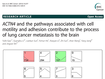 Gao Y, et al. ACTN4 and the pathways associated with cell motility and adhesion contribute to the process of lung cancer metastasis to the brain. BMC Cancer. 2015 Apr 12;15:277. (IF=3.362)