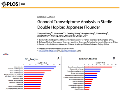Zhang, X. et al. Gonadal transcriptome analysis in sterile double haploid Japanese flounder. PLoS One 2015 Nov 18;10(11):e0143204.(IF=2.806)