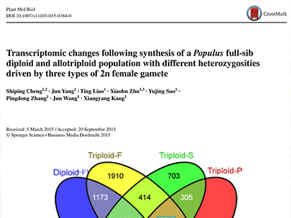 Transcriptomic changes following synthesis of a Populus full‑sib diploid and allotriploid population with different heterozygosities driven by three types of 2n female gamete