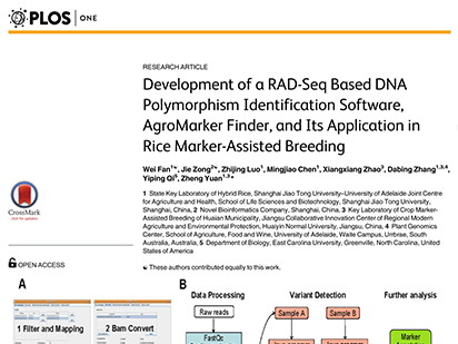 Fan W, et al. Development of a RAD-Seq Based DNA Polymorphism Identification Software, AgroMarker Finder, and Its Application in Rice Marker-Assisted Breeding. PLoS One. 2016 Jan 22;11(1):e0147187. (IF=3.057)