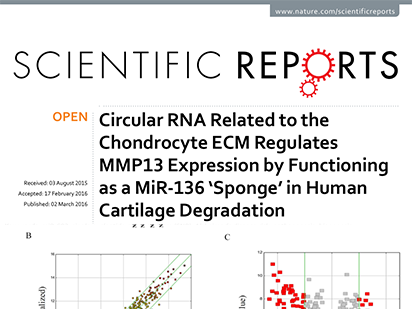 Liu Q, et al. Circular RNA Related to the Chondrocyte ECM Regulates MMP13 Expression by Functioning as a MiR-136 ‘Sponge’ in Human Cartilage Degradation. Sci Rep. 2016 Mar 2;6:22572. (IF=5.578)