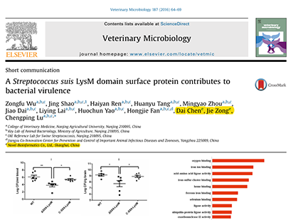 Wu Z, et al. A Streptococcus suis LysM domain surface protein contributes to bacterial virulence. Vet Microbiol. 2016 May 1;187:64-9. (IF=2.564)