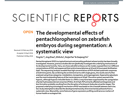 Xu, T. et al. The developmental effects of pentachlorophenol on zebrafish embryos during segmentation: A systematic view. Sci. Rep. 2016 May 16;6:25929..(IF=4.259)