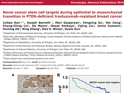 Sun L, et al. Novel cancer stem cell targets during epithelial to mesenchymal transition in PTEN-deficient trastuzumab-resistant breast cancer. Oncotarget. 2016 Aug 9;7(32):51408-51422. (IF=5.008)