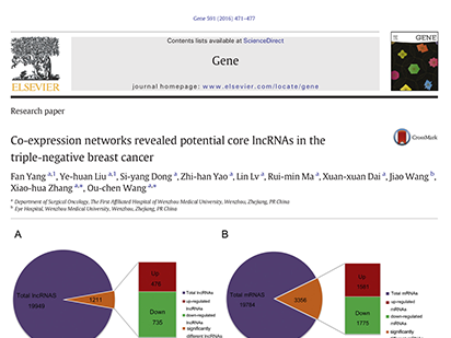 Yang, F. et al. Co-expression networks revealed potential core lncRNAs in the triple-negative breast cancer. Gene, 2016 Oct;591(2):471-477. (2.415) (IF=2.415)