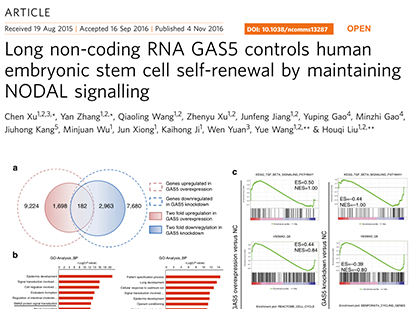 Xu C, et al. Long non-coding rna gas5 control human embryonic stem cell self renewal by maintaining nodal signaling. Nat Commun. 2016 Nov 4;7:13287. (IF=12.124)