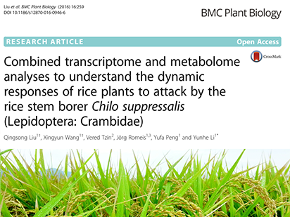Liu Q, et al. Combined transcriptome and metabolome analyses to understand the dynamic responses of rice plants to attack by the rice stem borer Chilo suppressalis (Lepidoptera: Crambidae). BMC Plant Biol. 2016 Dec 7;16(1):259. (IF=3.631)