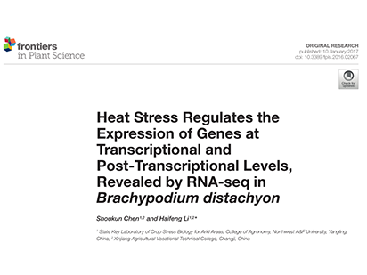 Heat Stress Regulates the Expression of Genes at Transcriptional and Post-Transcriptional Levels, Revealed by RNA-seq in Brachypodium distachyon