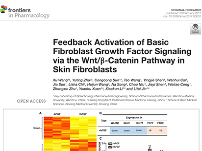 Wang X, et al. Feedback Activation of Basic Fibroblast Growth Factor Signaling via the Wnt/b-Catenin Pathway in Skin Fibroblasts. Front Pharmacol. 2017 Feb 3;8:32. (IF=4.4)