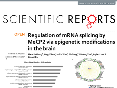Cheng, T.-L. et al. Regulation of mRNA splicing by MeCP2 via epigenetic modifications in the brain. Sci Rep. Sci Rep. 2017 Feb 17;7:42790.  (IF=4.259)