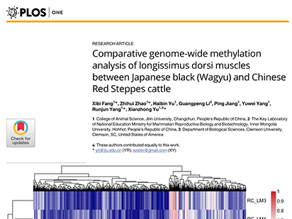 Fang X, et al. Comparative genome wide methylation analysis of longissimus dorsi muscles between Japanese black (Wagyu) and Chinese Red Steppe cattle. PLoS One. 2017 Aug 3;12(8):e0182492.(IF=2.806)