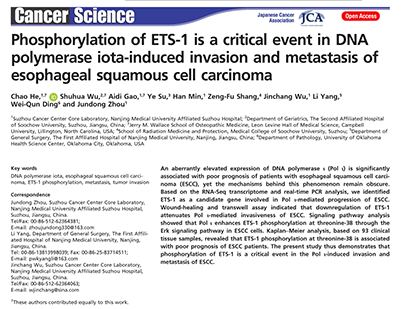 He c,et al. Phosphorylation of ETS-1 is a critical event in DNA polymerase iota-induced invasion and metastasis of esophageal squamous cell carcinoma. Cancer Sci. 2017 Sep 14. (IF=3.974)