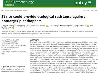 Bt rice could provide ecological resistance against nontarget planthoppers.