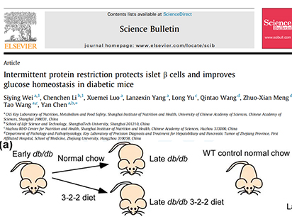 【IF=11.783】烈冰助力中科院课题组糖尿病饮食干预新疗法研究