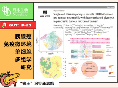 GUT重磅来袭！单细胞+空转+免疫荧光的王炸组合，烈冰助力交大医学院研究团队解析胰腺癌免疫微环境