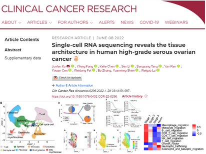 【烈冰助力CCR第二弹】单细胞测序揭示人类高级别浆液性卵巢癌的组织结构