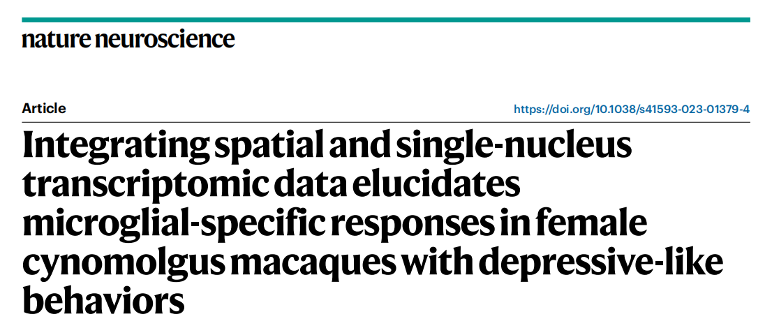 【烈冰助力】单细胞核测序+空间组学，烈冰生物助力重医附一院神经内科团队解析抑郁行为发生新机制