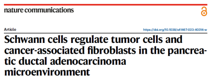 【Nature Communications IF 17.694】烈冰助力瑞金医院团队解析施旺细胞调控胰腺癌机制!