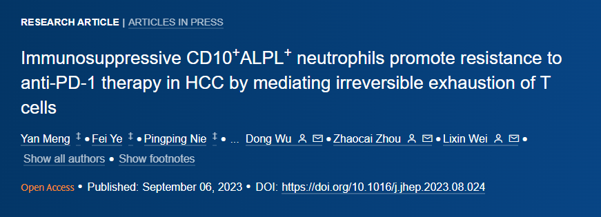 肝癌顶刊 Journal of Hepatology（IF 25.7）发现中性粒细胞与肝细胞癌（HCC）的免疫治疗耐药相关