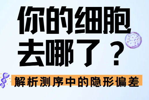 揭秘单细胞测序的“隐形天花板”：为何你的上皮细胞总在消化中“神秘消失”？