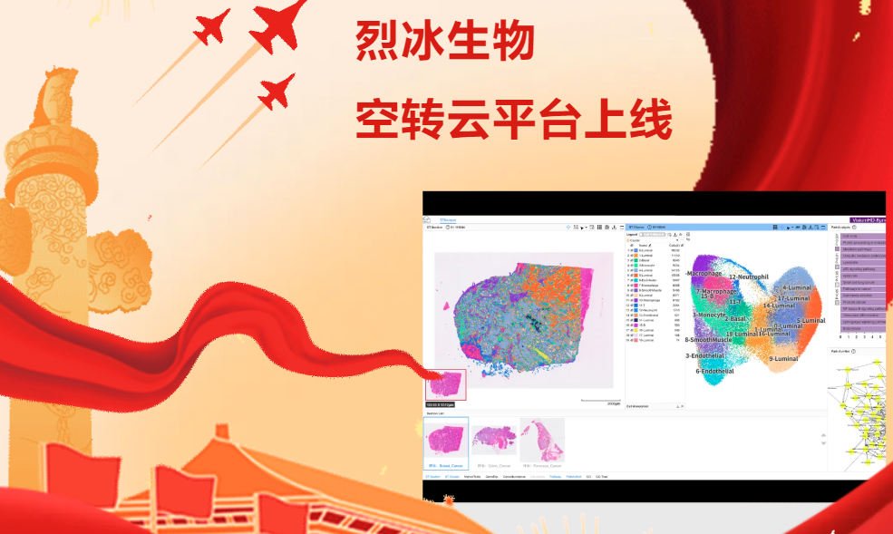 【献礼国庆】告别繁琐！烈冰空间转录组分析云平台上线，实现空间组学数据细胞精度浏览和超简单深度分析