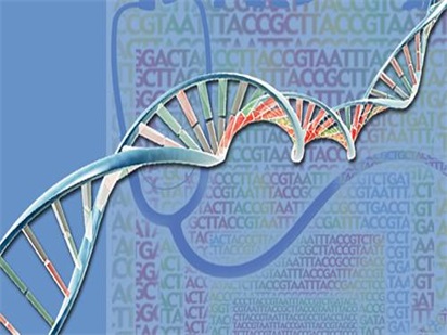 RNA-seq研究SS9-LysM元件在猪链球菌致病过程中的分子机制