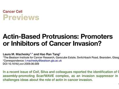 Machesky LM, et al. Actin-based protrusions: promoters or inhibitors of cancer invasion? Cancer Cell. 2009 Jul 7;16(1):5-7. (IF=23.893)