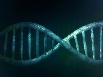 Zong J, et al. Evolution of the RNA-dependent RNA polymerase (RdRP) genes: Duplications and possible losses before and after the divergence of major eukaryotic groups. Gene. 2009 Nov 1;447(1):29-39. (IF=2.082)